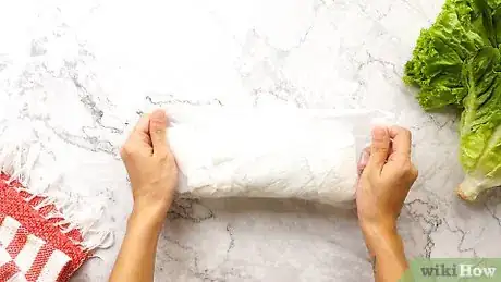 Image intitulée Wash Lettuce Step 10