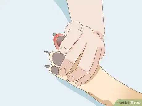 Image intitulée Stop a Dog's Quick from Bleeding Step 3