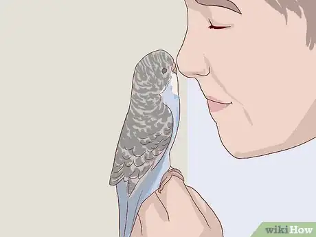 Image intitulée Breed Budgies Step 9