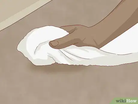 Image intitulée Get Bad Smells out of Carpet Step 22