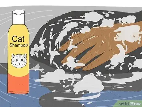 Image intitulée Get Mousetrap Glue Off a Cat Step 10