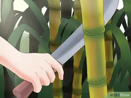 Image intitulée Plant Sugar Cane Step 10