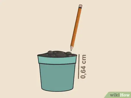 Image intitulée Plant Cannabis Seeds Indoors Step 9