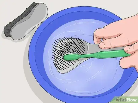 Image intitulée Treat Horse Lice Step 7