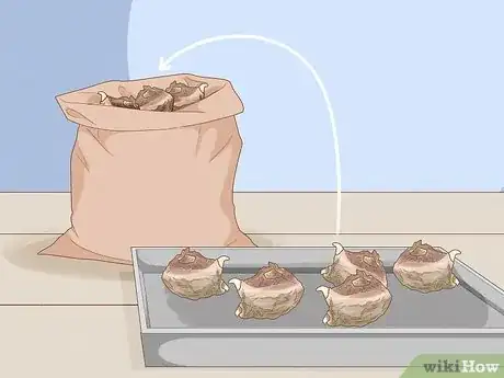 Image intitulée Winterize Calla Lily Bulbs Step 6