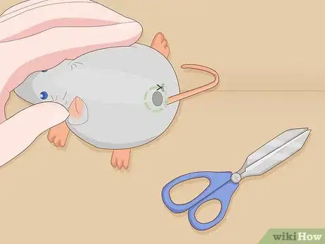 Image intitulée Make Cat Toys out of Common Household Items Step 9