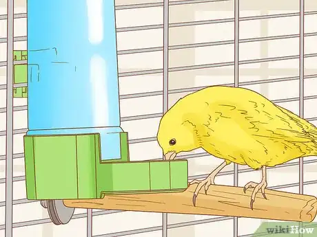 Image intitulée Care for Your Canary Step 4