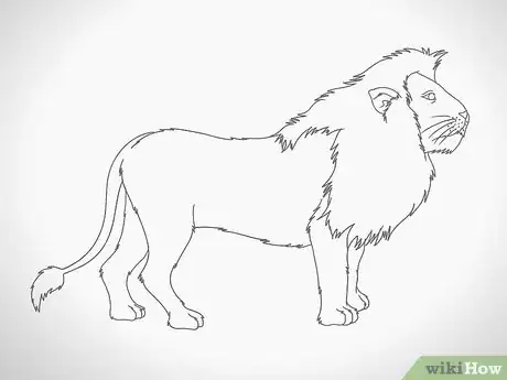 Image intitulée Draw a Lion Step 11