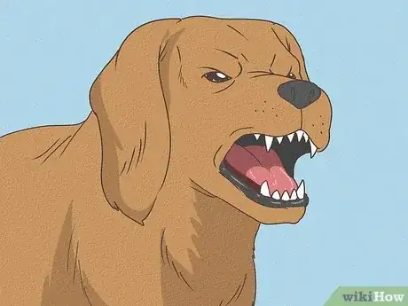 Image intitulée Detect Pregnancy in Your Female Dog Step 3