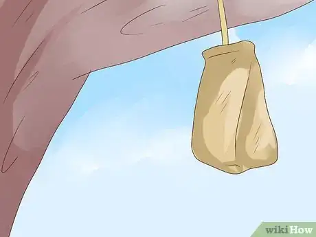 Image intitulée Get Rid of a Wasp's Nest Step 21