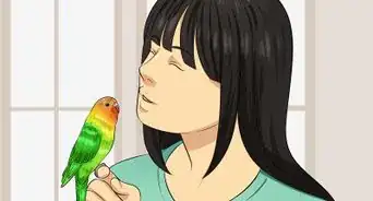 savoir si une perruche m'aime