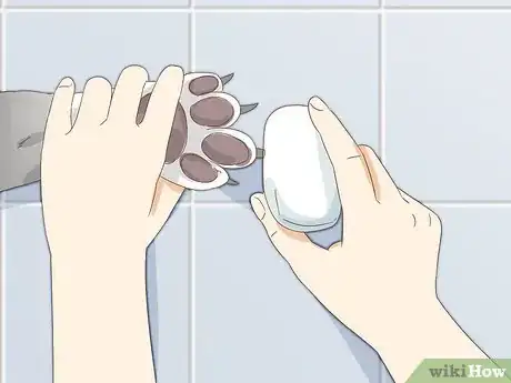 Image intitulée Stop a Dog's Quick from Bleeding Step 8