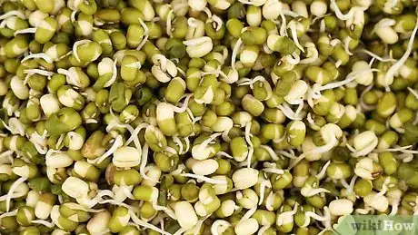 Image intitulée Cook Mung Beans Step 15