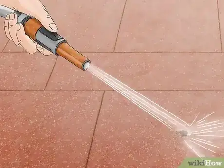 Image intitulée Clean Bird Droppings Step 7