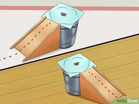 Image intitulée Catch a Runaway Hamster Step 20