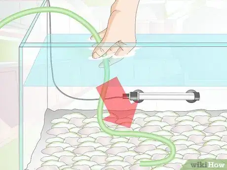 Image intitulée Clean Aquarium Gravel Step 7