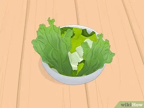 Image intitulée Treat Diarrhea in Rabbits Step 11