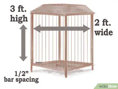 Image intitulée Care for a Sugar Glider Step 1