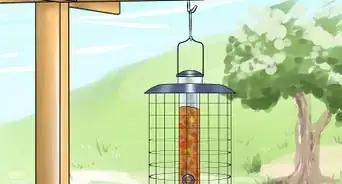 protéger les mangeoires à oiseaux des écureuils