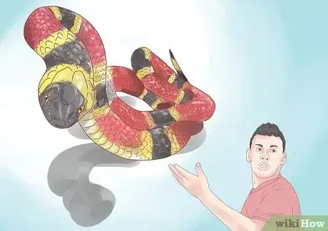 Image intitulée Differentiate Between Poisonous Snakes and Non Poisonous Snakes Step 2