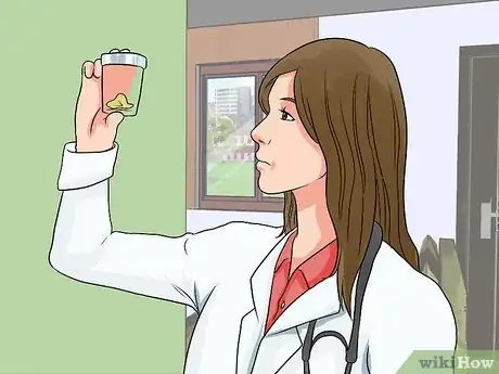 Image intitulée Diagnose Malabsorption Step 12