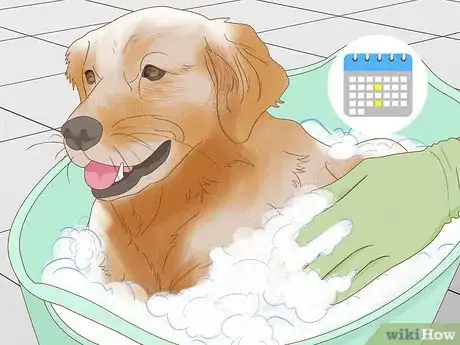 Image intitulée Alleviate Dry Skin in Dogs Step 7