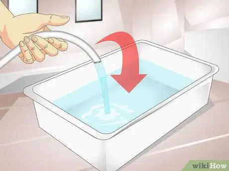 Image intitulée Bathe a Tortoise Step 1