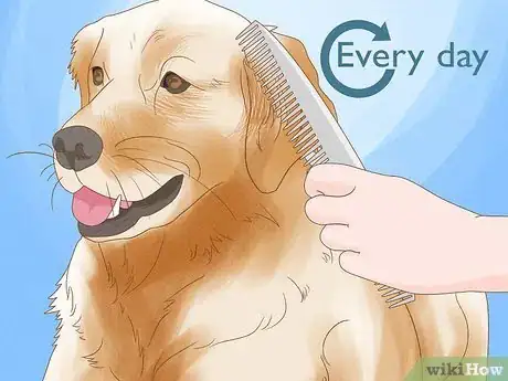 Image intitulée Alleviate Dry Skin in Dogs Step 6