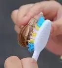 s'occuper d'un escargot