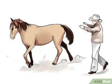 Image intitulée Train a Horse Step 2