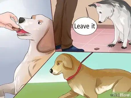 Image intitulée Keep Your Dog from Chasing Cats Step 3