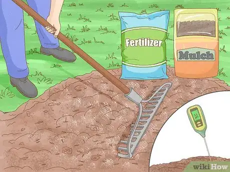 Image intitulée Grow Zucchini Step 4