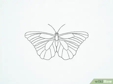 Image intitulée Draw a Butterfly Step 24