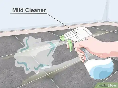 Image intitulée Clean Grout Haze Step 5