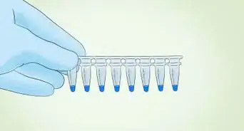 identifier une bactérie