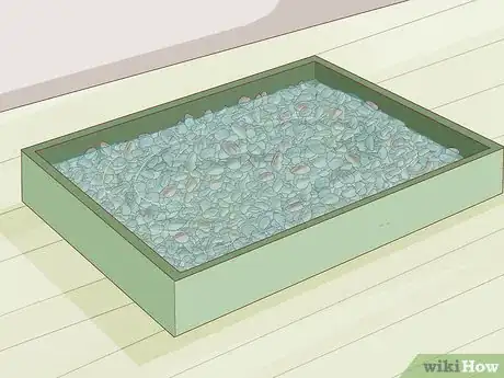 Image intitulée Plant Desert Rose Seeds Step 10