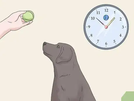 Image intitulée Potty Train Your Puppy Using a Bell Step 5