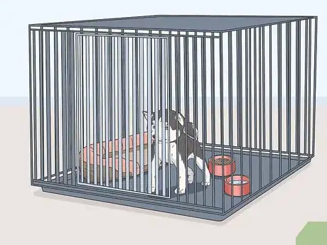 Image intitulée Potty Train Your Puppy Using a Bell Step 7