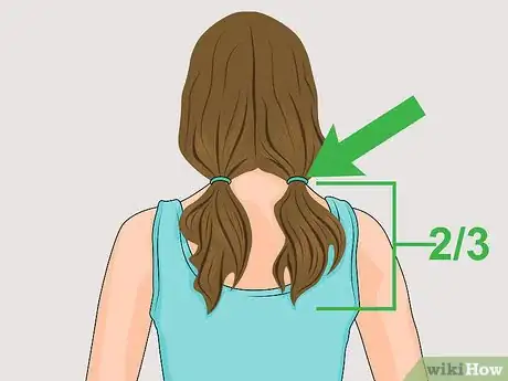 Image intitulée Dye Hair Two Colors Step 1