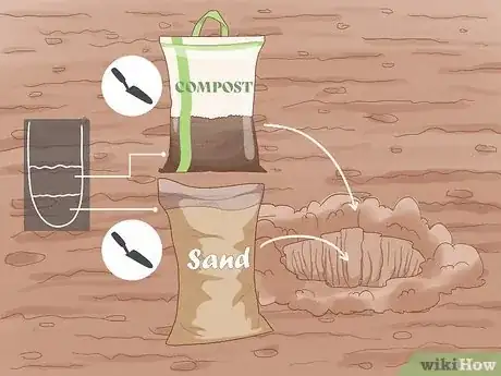 Image intitulée Grow Hot Peppers Step 9