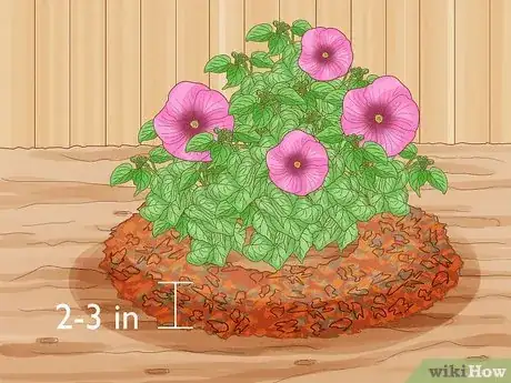 Image intitulée Winterize a Perennial Hibiscus Step 4