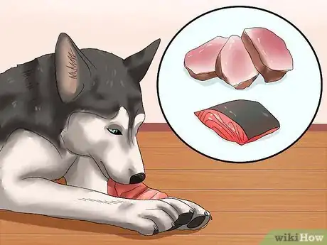 Image intitulée Make Allergy Food for Dogs Step 3