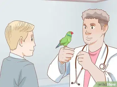 Image intitulée Treat Diarrhea in Parakeets Step 3