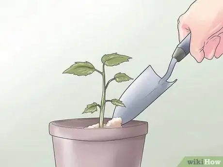 Image intitulée 2083752 26
