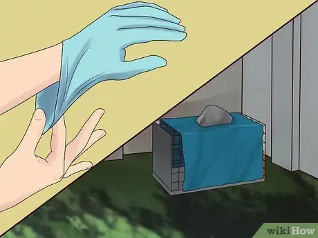 Image intitulée Trap Cats Step 13