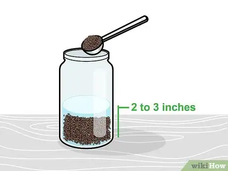 Image intitulée Grow Broccoli Sprouts Step 3