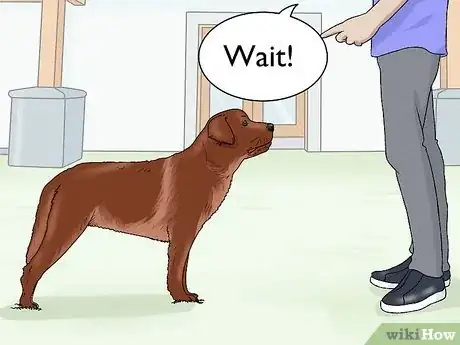 Image intitulée Train Labrador Retrievers Step 15