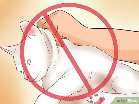 Image intitulée Pick Up a Cat Step 10