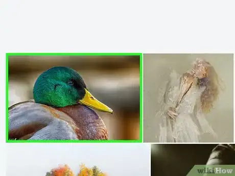Image intitulée Download Images from Flickr Step 11