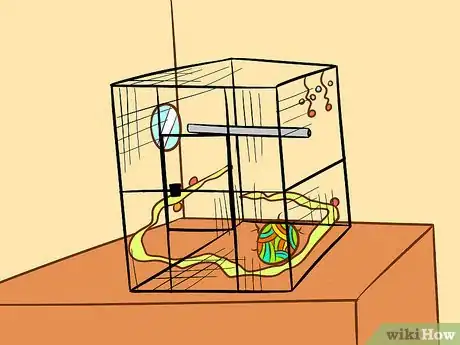 Image intitulée Care for a Conure Step 4